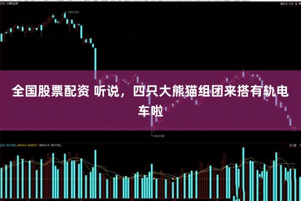 全国股票配资 听说，四只大熊猫组团来搭有轨电车啦